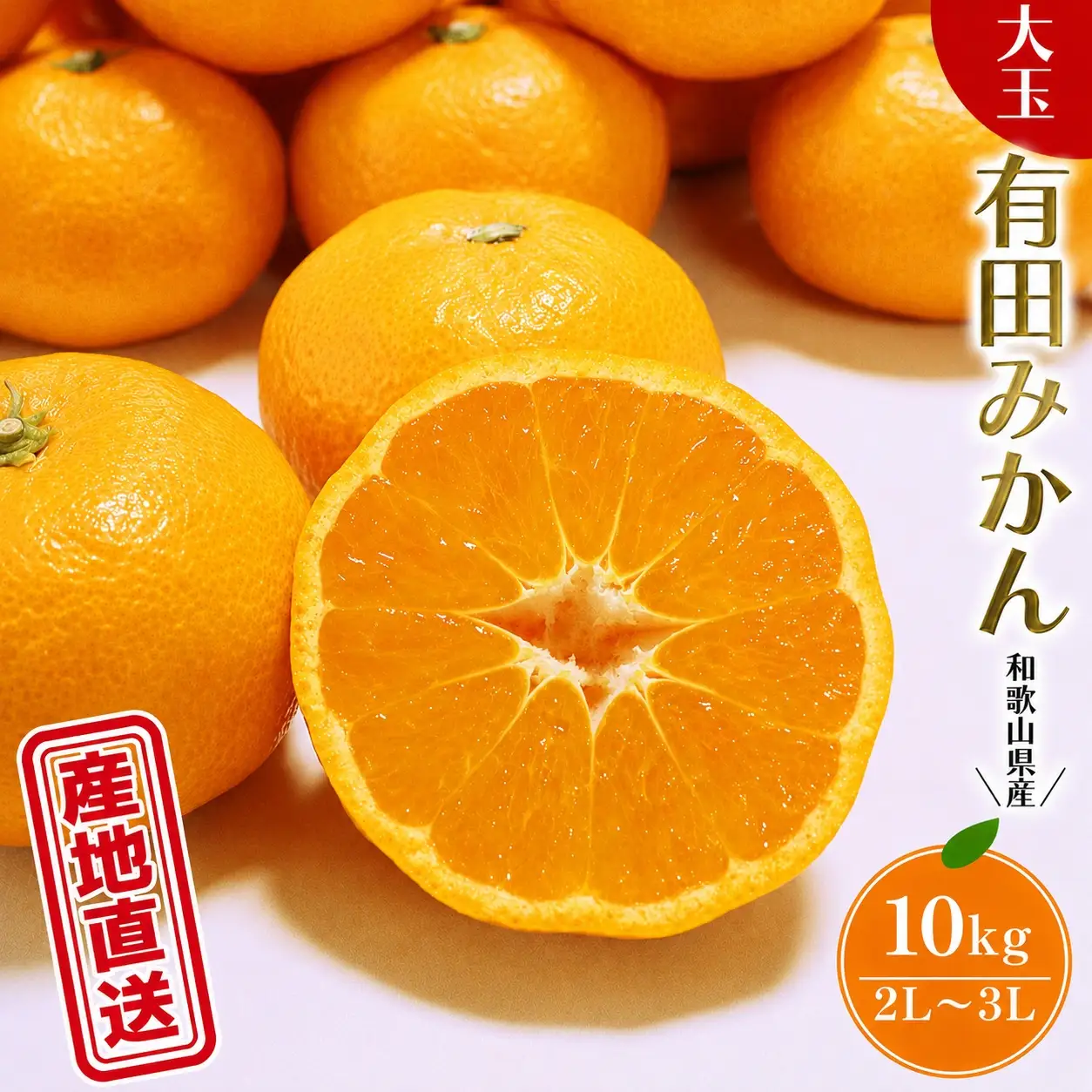 有田 みかん 大玉 10kg （2L～3L） 先行予約 ＼ みかんの名産地 和歌山県産／ / 果物 フルーツ 甘い 柑橘 ※2026年11月下旬～翌年1月中旬頃発送予定【hdm004-l-10B】