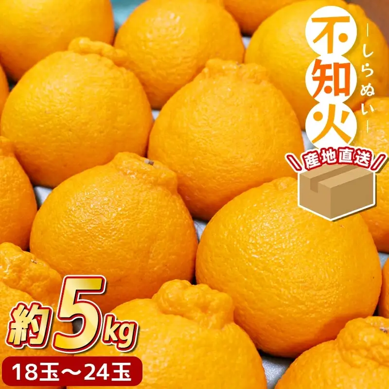 不知火 約 5kg(18～24玉) 先行予約 ＼ みかんの名産地 和歌山県 産／ / みかん 果物 柑橘 フルーツ ※2027年2月中旬～3月下旬頃発送予定【hdm010-r-5B】