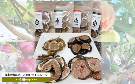ドライフルーツセット いちじく 食べ比べ 蓬莱柿 ドライフルーツセット【4種】
