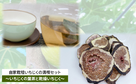 自家栽培いちじくのドライフルーツ満喫セット～いちじくの葉茶と2種の乾燥いちじく～ 加工食品 お茶 白いちじく 無花果葉 飲みやすい ティーバッグ おやつ 飲み物 