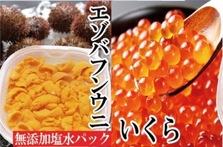 エゾバフンウニ塩水パック130g×1P、いくら醤油漬(鱒卵)150g×1P[2027年1月中旬以降発送] D-40050