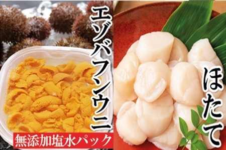 エゾバフンウニ塩水パック130g×1P、お刺身ホタテ貝柱500g×1P[2027年1月中旬以降発送] D-40052
