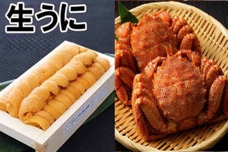 エゾバフンウニ100g×1折、毛ガニ300g前後～400g前後×2尾[11月中旬以降発送] D-71063
