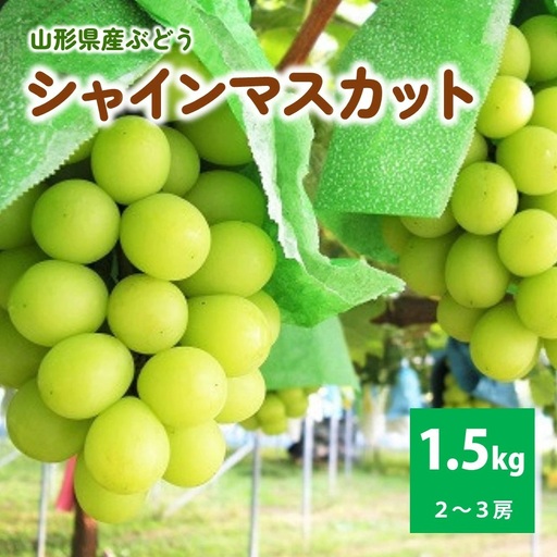 ぶどう（シャインマスカット）１.５ｋｇ　ご家庭用　0025-2612