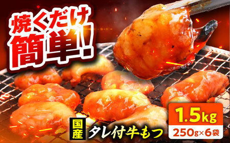 【小分け】 【秘伝のタレ付】 牛 もつ セット 10 人前｜小分け 6袋 計1.5kg 国産 味噌 もつ鍋 焼肉 時短 簡単 小腸 国産牛 パーティー 冬 ホルモン おつまみ 真空 冷凍 大ぶり 簡単調理 グルメ 忘年会 コラーゲン しょうちょう 鍋 バーベキュー 焼き肉 牛肉 肉 もつ モツ 内臓 モツ鍋 もつなべ ギフト 味噌味 味噌スープ 味噌ベース 小浜市 タレ 味付き 味付 [BFAP008] 【配送不可地域：北海道・沖縄・離島】 