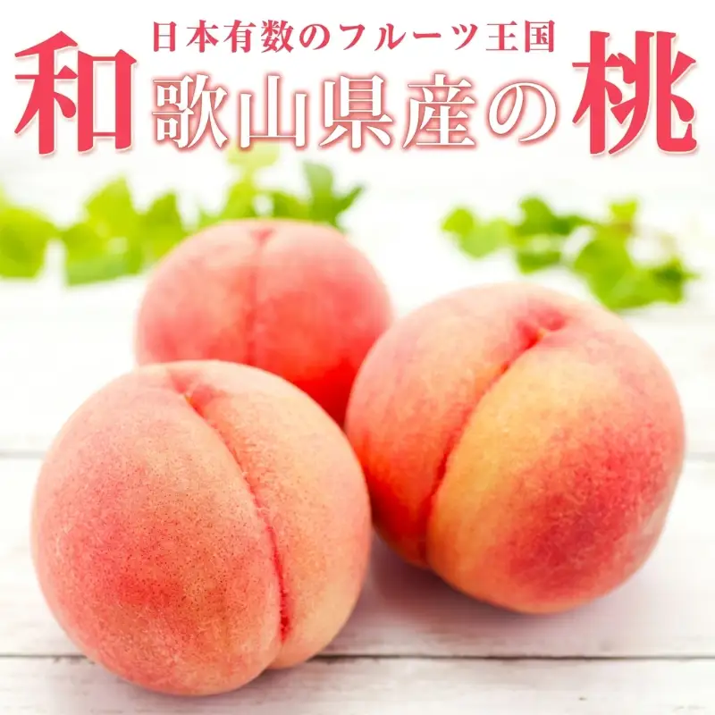 紀州和歌山産の桃 15玉 化粧箱入 【2026年6月下旬頃～2026年8月上旬頃に順次発送予定】【UT97】【Z024-uot780A】