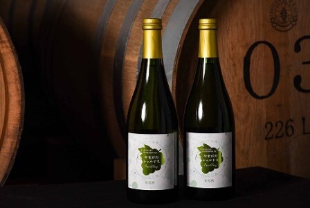 やまがたシャルドネスパークリング 750ml×2本 辛口 ワイン 白 白ワイン 酒 山形　020-E-CK017