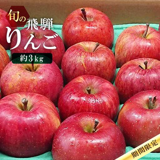 【先行予約 9月中旬～1月下旬発送】飛騨高山産 飛騨りんご 約3kg(8個～11個）| りんご MA002