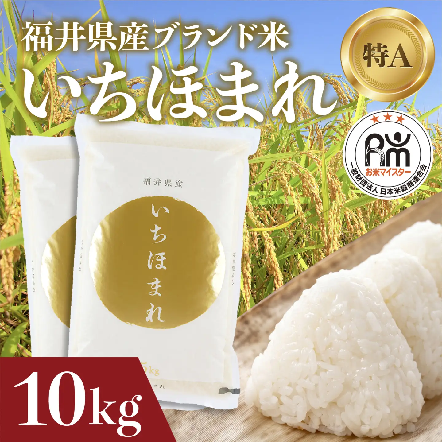 【寄付額見直し】令和7年産 いちほまれ 10kg（5kg × 2袋）お米 ごはん