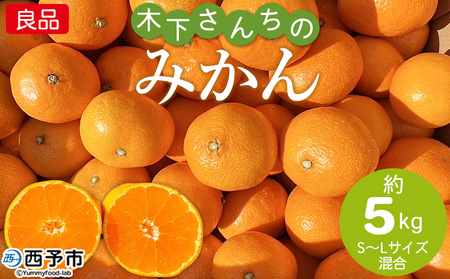 ＜木下さんちのみかん 良品 約5kg（S～Lサイズ混合）＞柑橘類 温州みかん ミカン 果物 くだもの フルーツ 特産品 木下農園 西宇和 愛媛県 西予市【常温】『2026年11月中旬～12月下旬に順次出荷予定』MKS0003