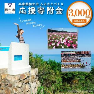 【返礼品なし】兵庫県相生市への寄付（3,000円分）