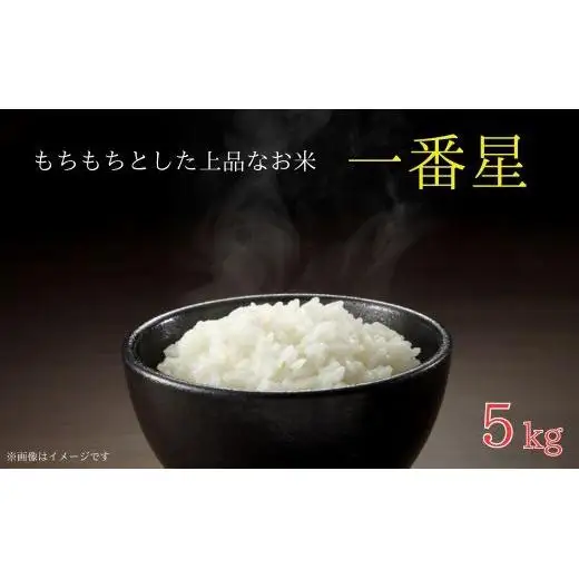 	《 令和7年産 》米 もちもちで上品な食感「一番星」精米5kg ／ 米 こめ コメ お米 おこめ 一番星 白米 ごはん 令和7年産 5kg 茨城県 利根町 送料無料