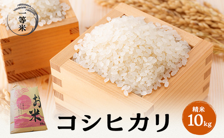 【令和5年福井県若狭町産】 コシヒカリ 1等米 精米10kg お米ブランド米 コシヒカリ