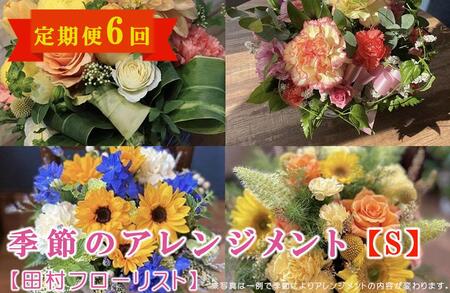 季節のフラワーアレンジメント Sサイズ 6回 定期便 6ヶ月 花 生花 フラワー ギフト プレゼント 贈り物 お祝い 記念日 誕生日 母の日 敬老の日 インテリア 雑貨 飾り おしゃれ 華やか かわいい 季節の花 アレンジメント ブーケ 癒し 岩手県 盛岡市 東北 岩手 盛岡 有限会社田村フローリスト