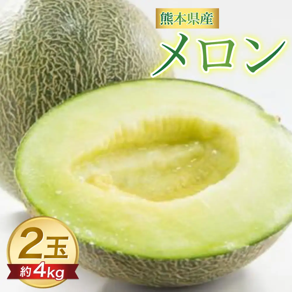 メロン 【先行予約】熊本県 八代市産 肥後グリーン 約4kg （2玉入） 【2027年5月中旬より順次発送】 メロン