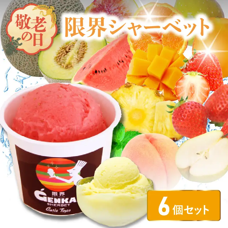 【敬老の日ギフト】 限界シャーベット 6個セット ≪9月21日お届け≫ J06018-K