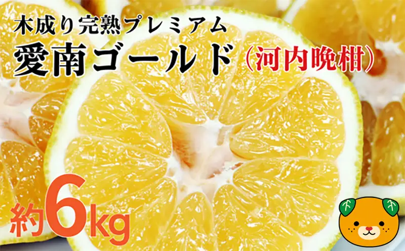 愛南ゴールド ( 河内晩柑 ) 6kg 樹齢30年 木成り 完熟プレミアム 柑橘 みかん 和製 グレープフルーツ 完熟 常温 愛南町青果市場 愛媛県 発送: 7月下旬? (なくなり次第終了)