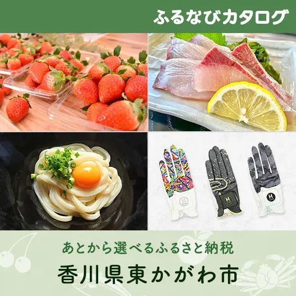 【有効期限なし！後からゆっくり特産品を選べる】香川県東かがわ市カタログポイント