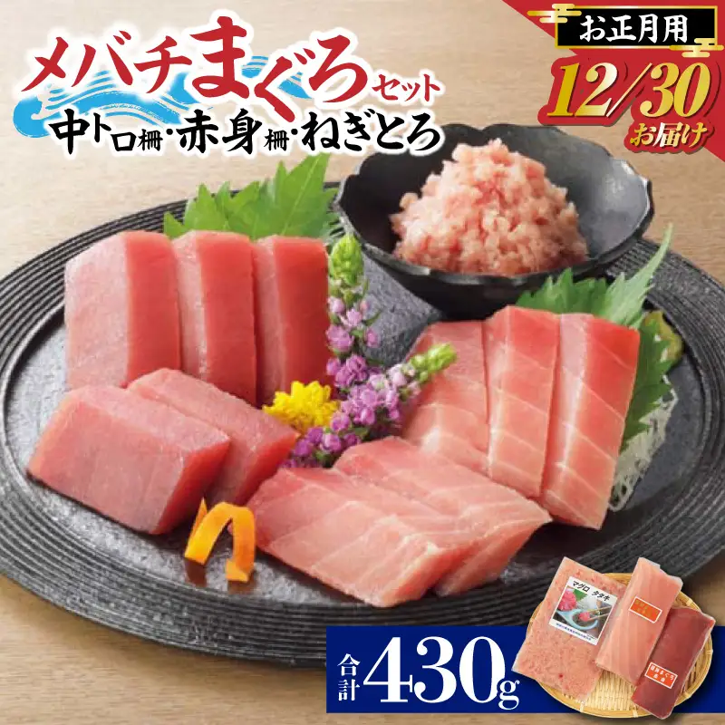 お正月 用 メバチ鮪 セット（ 神奈川県漁連 ） M077-006-01 冷凍 マグロ