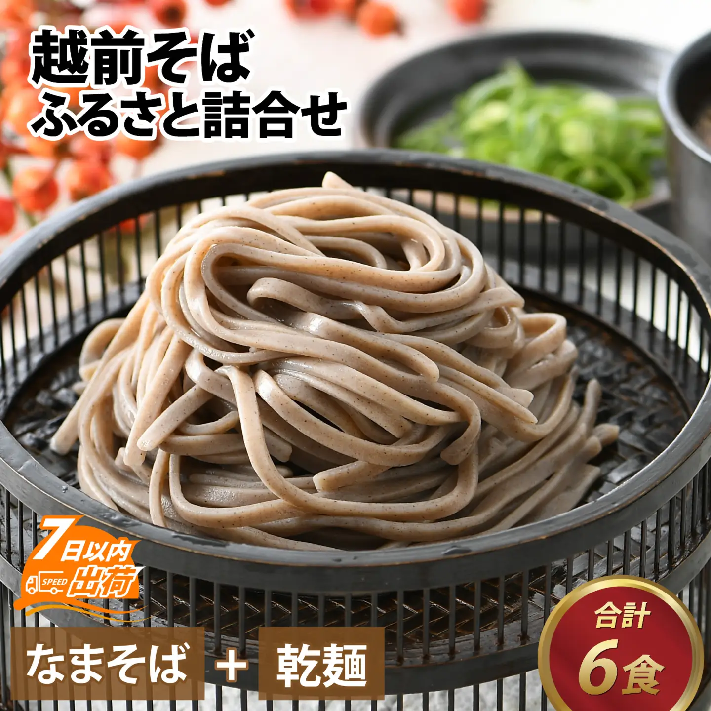 越前そばふるさと詰合せ 合計6食 [A-120001] / そば
