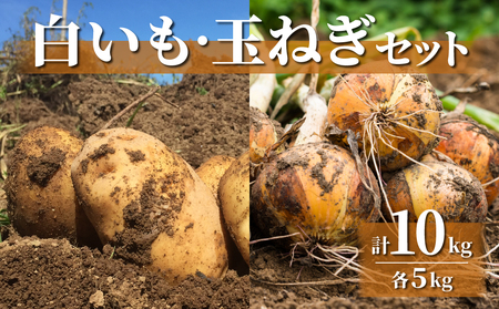 白いも(M～Lサイズ）と玉ねぎ（L～2Lサイズ）各5kg｜じゃがいも【数量限定】詰め合わせ※2026年8月下旬～10月下旬に順次発送予定※着日指定不可