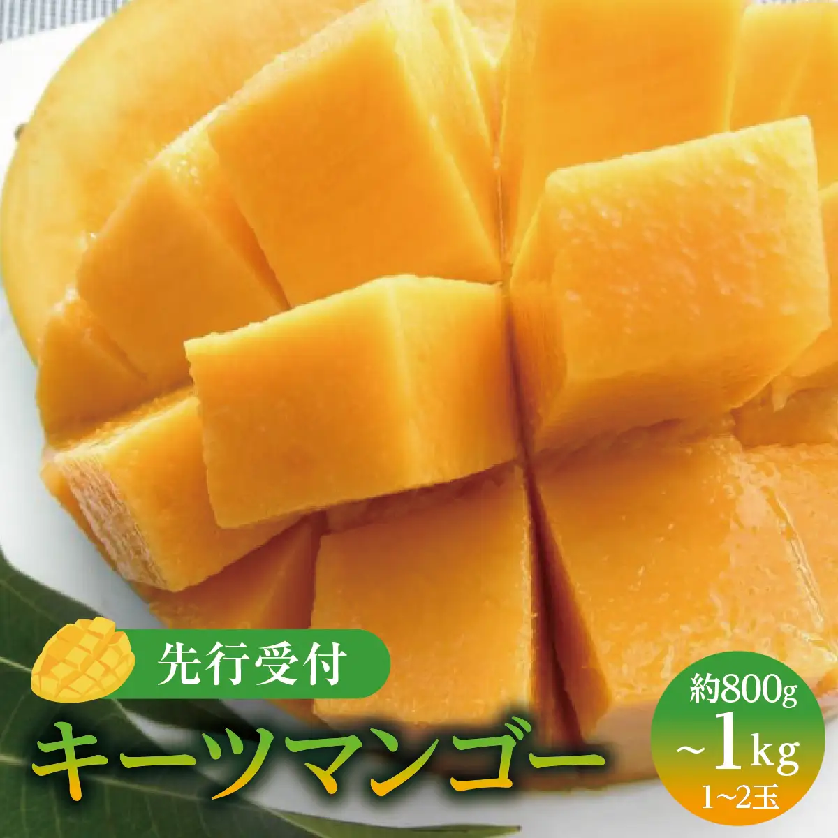 (先行受付)【2027年発送】キーツマンゴー 南城市 約800g～1kg（1～2玉）