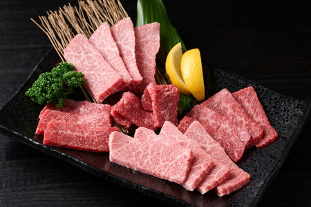 訳あり！艶さし！佐賀牛焼肉切り落とし　500ｇ J1356