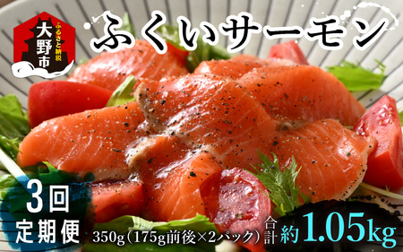 【定期便3回コース】ふくいサーモン（刺身用）真空冷凍　350g（175g × 2パック） × 3回 合計約1.05kg