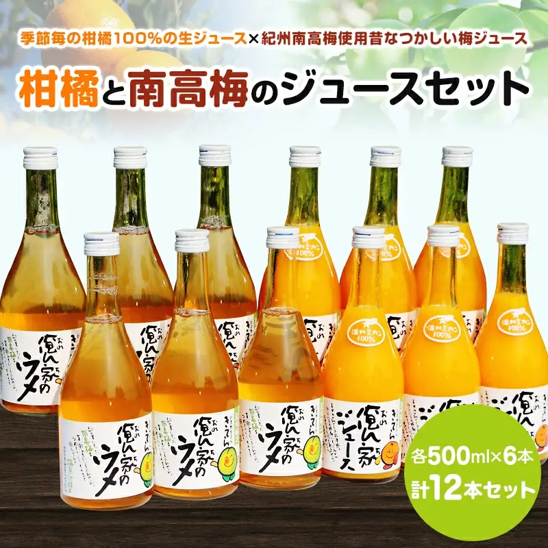 紀州産ミカンジュースと南高梅のジュースセット 季節毎の柑橘ジュース500ml×６本・梅ジュース500ml×６本 / 和歌山 和歌山県産 田辺市 紀州南高梅 梅  梅ジュース みかん みかんジュース 100％ジュース ジュースセット【ktr006-3】