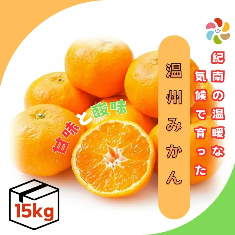 【11月下旬～12月下旬頃に順次発送予定】 温州みかん 15kg※【期間限定・先行予約・12/10まで】 / 田辺市 ミカン 温州みかん【mry015-2】