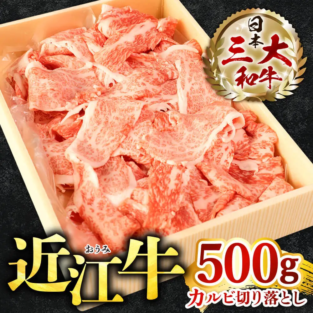 近江牛 カルビ 切り落とし 500g 株式会社びわこフード 滋賀県 東近江市 A-F08 近江牛 焼肉 すき焼き 牛丼 肉じゃが 500g A4 A5 霜降り 和牛 高級 国産 ブランド牛