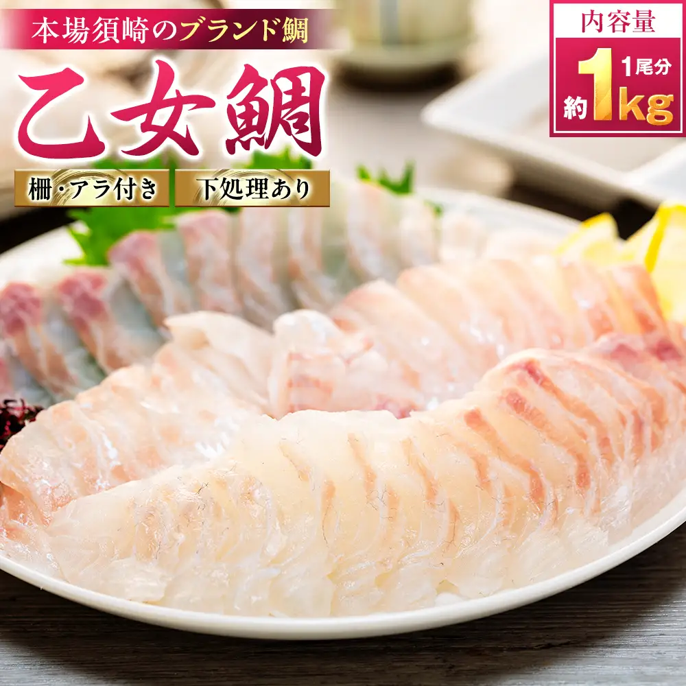 【 鯛 】 乙女鯛 アラ付き 1kg
