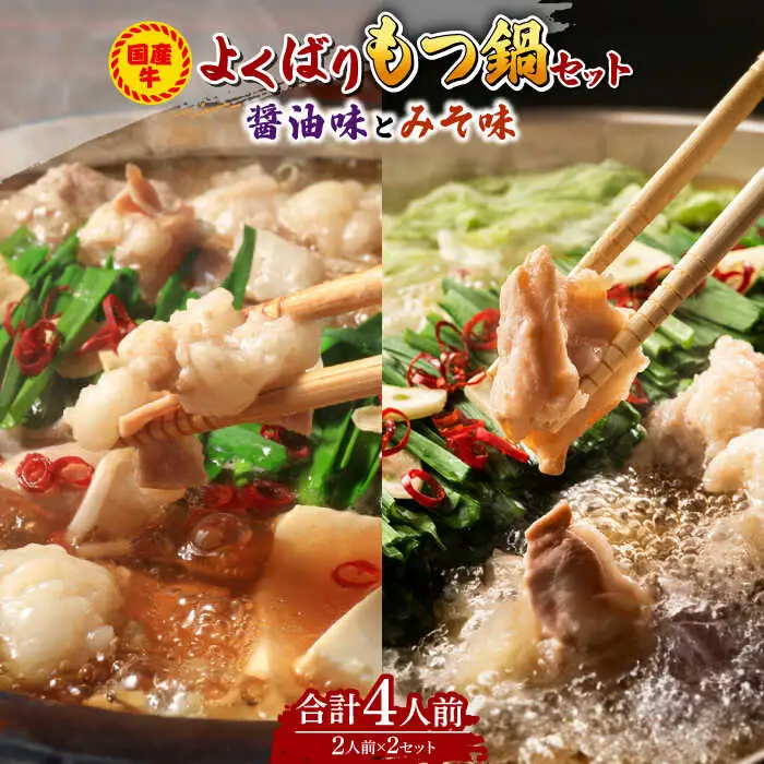 もつ鍋 醤油味＆味噌味 4人前 [ABCJ035] もつ鍋