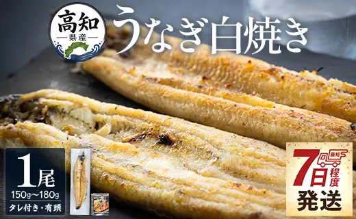 高知県産うなぎの白焼き 150～180ｇ×1尾 - エコ包装 国産 うなぎ 白焼き 鰻 冷凍 高知 yw-0113