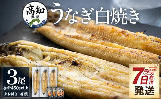 うなぎ白焼き 高知県産うなぎの白焼き 150～180ｇ×3尾 早い スピード発送 7日程度 早く届く スピード配送 【うなぎ 惣菜 うなぎ おかず うなぎ 国産 うなぎ 高知県産 うなぎ 人気 うなぎ おすすめ】 yw-0115