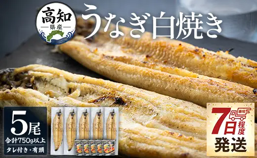うなぎの白焼き 5尾 合計750g以上（1尾150～180g）【うなぎ うなぎ うなぎ うなぎ うなぎ】 yw-0117
