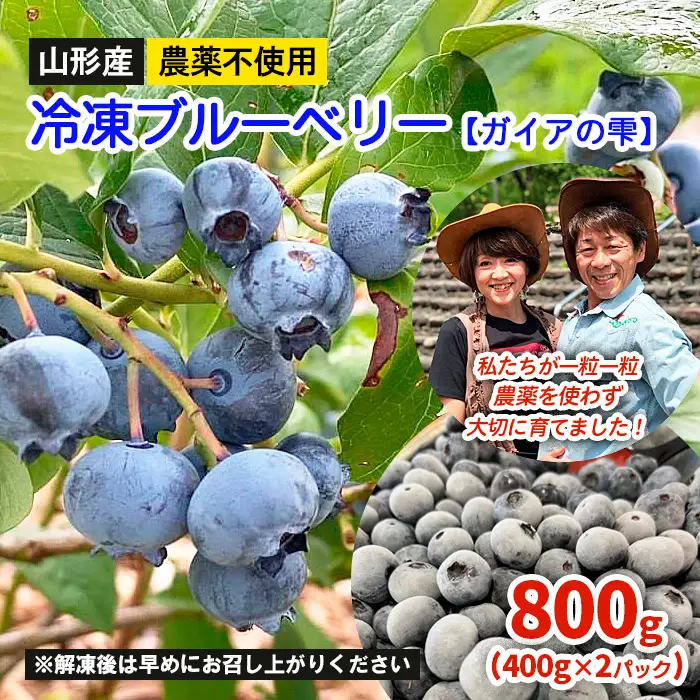 山形産 農薬不使用 冷凍ブルーベリー【ガイアの雫】800g(400g×2)★真空包装★  FZ23-581