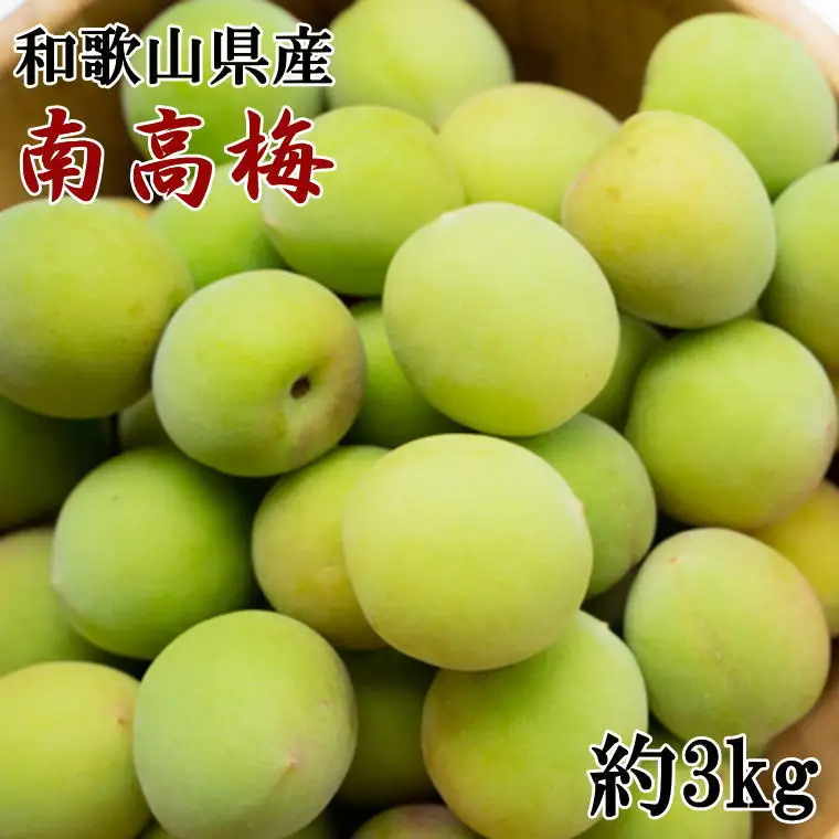 【和歌山名産】南高梅　約3kg（サイズ混合）　※2027年6月上旬～2027年6月下旬頃に順次発送 / 青梅 梅干し 梅酒 梅シロップ ジャム【tec939B】