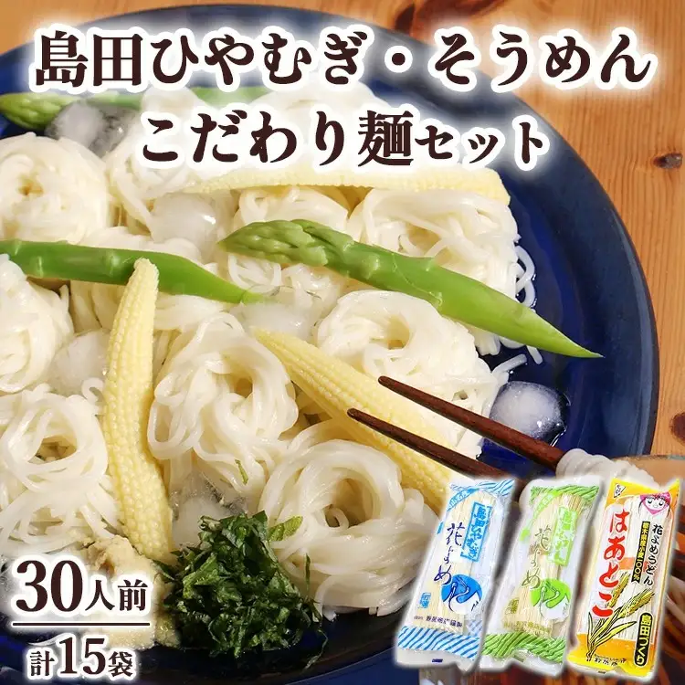 14-1　島田ひやむぎ・そうめん詰合せ＋こだわり麺1袋 | 麺類  乾めん 小分け ギフト 贈り物 贈答 お歳暮 栃木県 ※着日指定不可