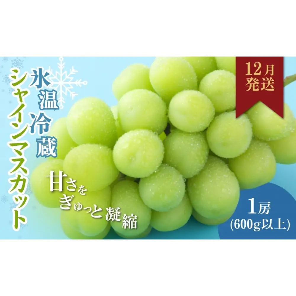 信州やなぎさわ農園果逢　信州産シャインマスカット（12月発送）　冷蔵1房(600g以上)大粒&大房 | 果物 ぶどう シャインマスカット 産地直送