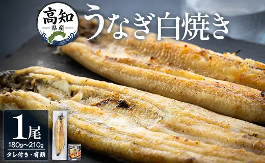高知県産うなぎ 白焼き 180～210g×1尾 白焼き yw-0062