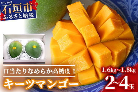【予約受付】沖縄県石垣島産 キーツマンゴー 1.6kg～1.8kg【2～4玉】