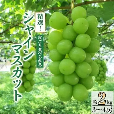 【2026年発送】精選! シャインマスカット 約2kg (3～4房)【配送不可地域：離島】【1121133】