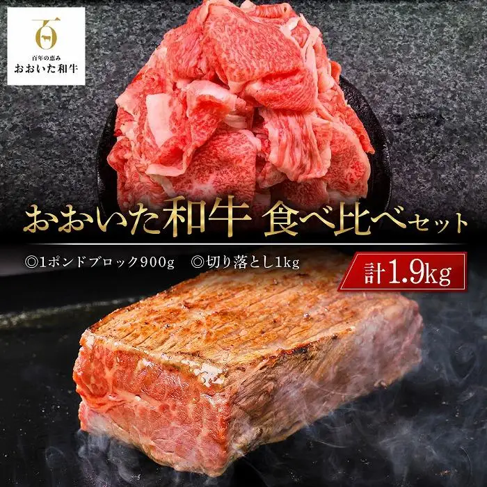 おおいた和牛 食べ比べ セット 計1.9kg（1ポンドブロック約900g・切り落とし1kg）