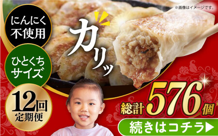 【簡易包装】【12回定期便】三代目長崎ぎょうざ48個（12個入×4袋）岩崎本舗 [EAB048]  餃子 ぎょうざ ニンニク無し にんにくなし 不使用 長崎 岩崎本舗 定期 定期便