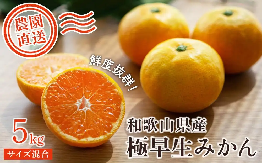 【極早生みかん】和歌山県産5kg【下津の訳ありみかん】まごころ産直みかんより産地直送［Mg18］