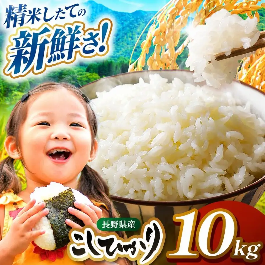米 10kg コシヒカリ 令和7年産 JA上伊那 コシヒカリ 今ずり米 5kg 2袋 【034-10】
