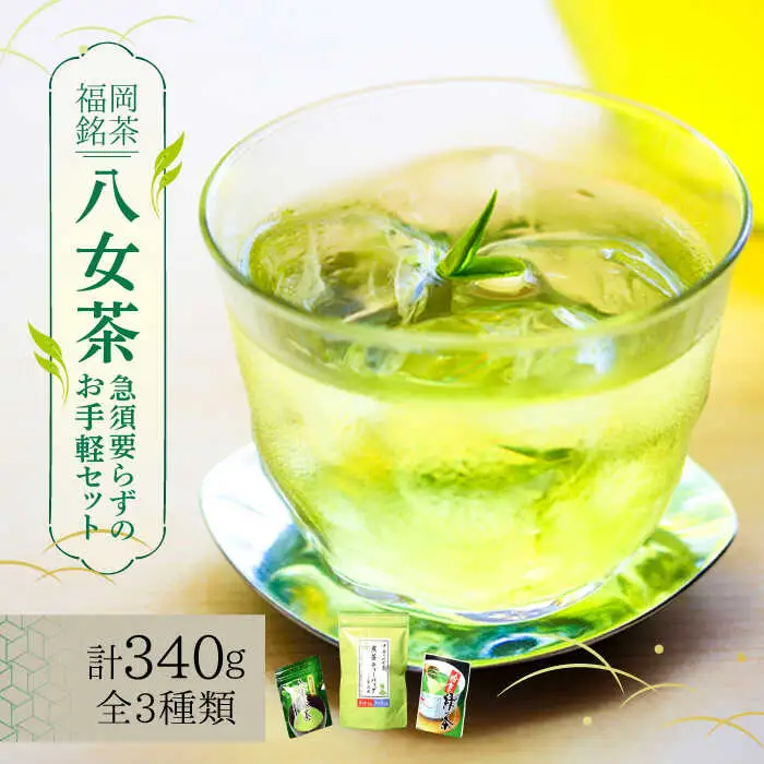 八女茶 福岡銘茶 八女茶 ティーバッグ付 [ABCJ031] 八女茶