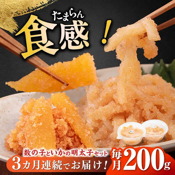 【全3回定期便】数の子明太子&いか明太子セット（各100g） [ABCJ066]