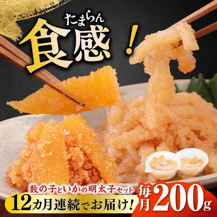 【全12回定期便】数の子明太子&いか明太子セット（各100g） [ABCJ068]
